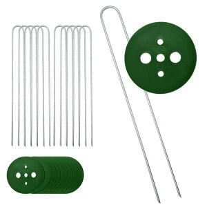 ی^Mts@30cm@10{ @ΊەthV[gs