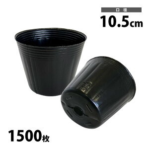 ||bg@ہ@10.5cm@1500@J[|bg@ubN