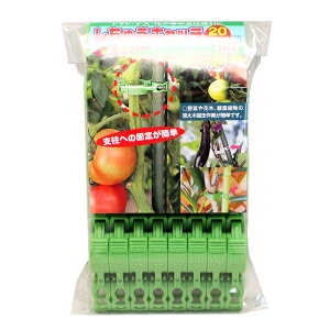 UNbv@イLb`20 (xa20~p)@΁@24