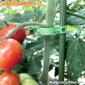 V[@UNbv@イLb`11@΁@300