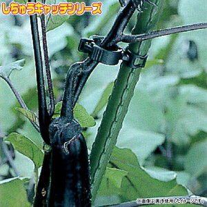 V[@UNbv@イLb`16@΁@300