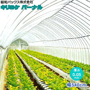 _POtB@LPo[i@0.05mm@540cm@(]̒𐔗ʂœ͂)