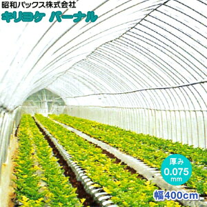 _POtB@LPo[i@0.075mm@400cm@(]̒𐔗ʂœ͂)