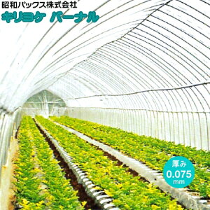 �_PO�t�B�����@�L�����P�o�[�i���@����0.075mm�@���F�I���@��]�̒���(m)�𐔗ʂɓ��͂�������