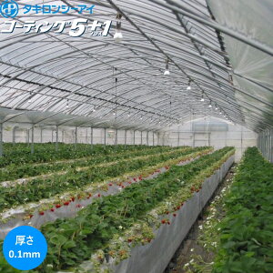 @\ėp_Ɨphz^POtB@R[eBO5+1@0.1mm@740cm@]̒(m)𐔗ʂœ