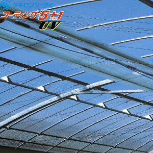 @\ėp_Ɨphz^POtB@R[eBO5+1UV@0.1mm@960cm@]̒(m)𐔗ʂœ