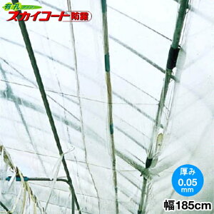 nEXp_ƗpPOtB@XJCR[gh@LE^Cv@0.05mm@185cm@]̒(m)𐔗ʂœ