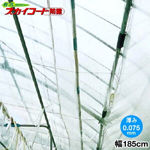 nEXp_ƗpPOtB@XJCR[gh@LE^Cv@0.075mm@185cm@]̒(m)𐔗ʂœ