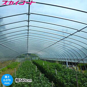 nEXrj[ _PO XJCR[g@0.075mm 540cm@]̒(m)𐔗ʂœ