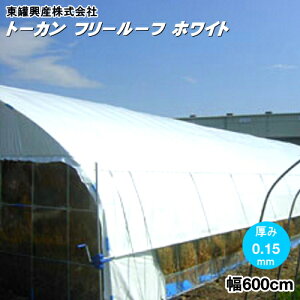 H@ړIՌtB@g[J@t[[t@zCg@0.15mm@600cm@w]̒(m)𐔗ʂœ́yՔMʁz