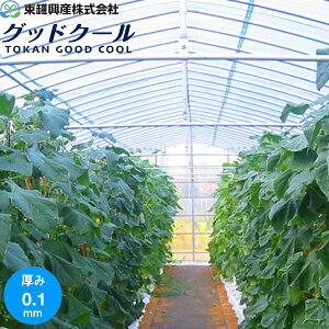 U_POtB@g[J ObhN[@0.1mm@Iʂɒ(m)́@I[_[H̔i