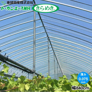 ۉExAbv@_POtB@g[JG[XNH߂@0.075mm@840cm@w]̒(m)𐔗ʂœ