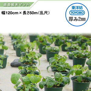 ma@ʋ}bg@TKS0812W@()@4mm@120cm×50m@|GXeV[g