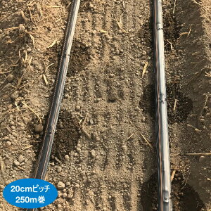 �l�^�t�B���@�X�g���[�����C�� X60-02�@20cm�s�b�`�@250m�@1���@�_�H�`���[�u�@�󐅃`���[�u�@�Z���_�Ǝ���