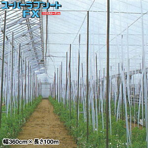 �_�Ɨp���@�ەs�D�z�@�X�[�p�[���u�V�[�gFX�@��360cm×����100m�@�n�E�X���J�[�e���p