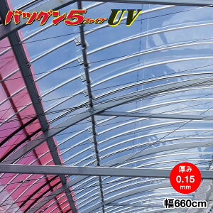 @\_Ɨphz^POtB@ocO5UV@0.15mm×660cm@]̒(m)𐔗ʂœ