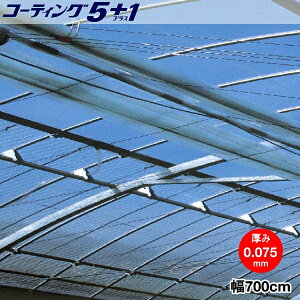 @\ėp_Ɨphz^POtB@R[eBO5+1@0.075mm@700cm@]̒(m)𐔗ʂœ