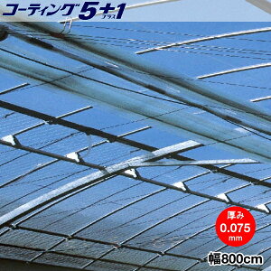 @\ėp_Ɨphz^POtB@R[eBO5+1@0.075mm@800cm@]̒(m)𐔗ʂœ