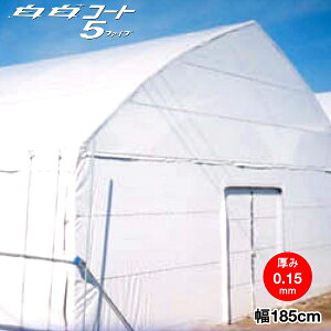 _Ɨphz^POtB@R[g5t@Cu@0.15mm 185cm@]̒(m)𐔗ʂœ