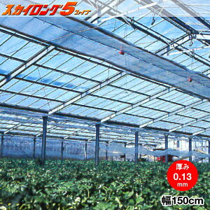 @\_Ɨphz^POtB@XJCO5@0.13mm 150cm@]̒(m)𐔗ʂœ
