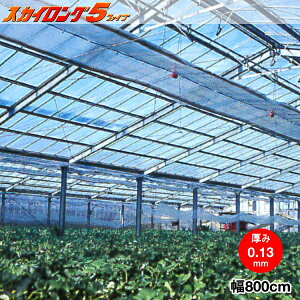 @\_Ɨphz^POtB@XJCO5@0.13mm 800cm@]̒(m)𐔗ʂœ