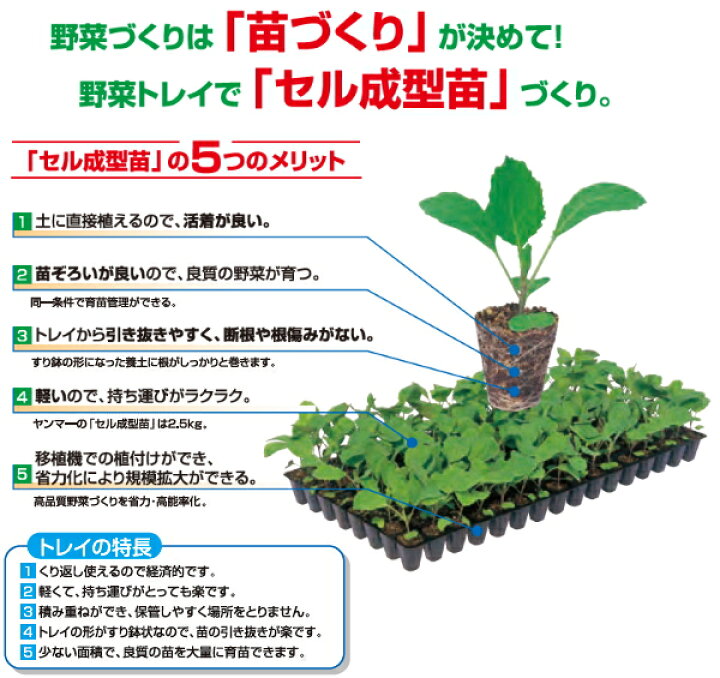 楽天市場】ヤンマートレイ 25角 200穴 100枚 全自動移植機 対応 レタス 