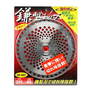 �����剤�@�����p�@���^�`�b�v�@�O�a255mm×�H��40p�@GS-H-25540