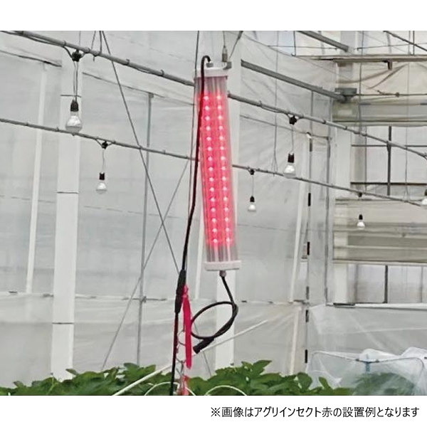 日栄インテック　アグリインセクト　赤　防虫用LED　アザミウマ類防除　減農薬