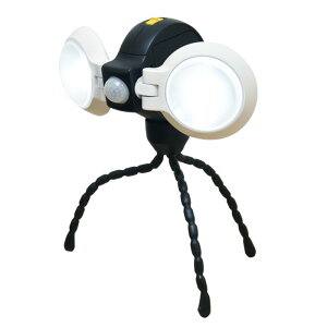 CebNX@LED@ǂłZT[Cg_u @ASL-092@dr