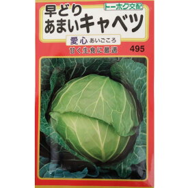 【メール便可 10個まで】キャベツ　早どり甘いキャベツ　愛心【トーホク】