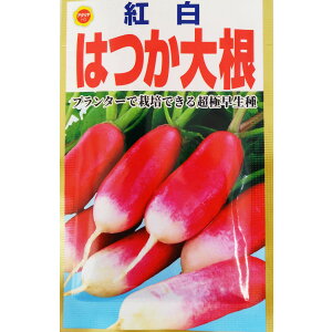 ylR|X 10܂Łz_CR@g͂卪yA^z