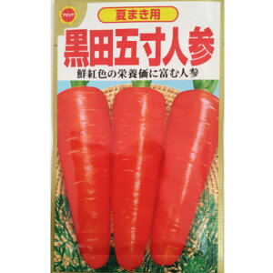 ylR|X 10܂ŁzjW@Ă܂p@cܐlQyA^z