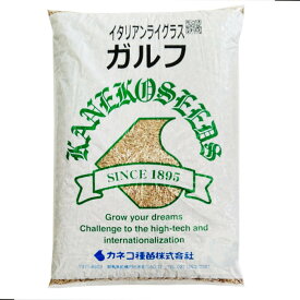 ＜1kg～22.5kg＞牧草種子【イタリアンライグラス】ガルフ (中生)【カネコ種苗】飼料用 / 緑化用
