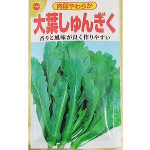 ylR|X 10܂ŁzVMN@t񂬂yA^z