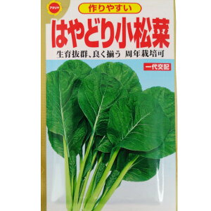 ylR|X 10܂ŁzR}ci@͂ǂ菬؁yA^z