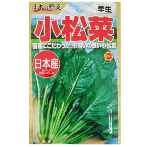 ylR|X 10܂ŁzR}ci@@؁yA^z