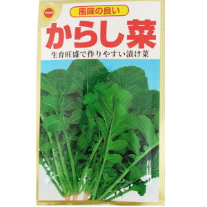 ylR|X 10܂ŁzJVi@炵؁yA^z