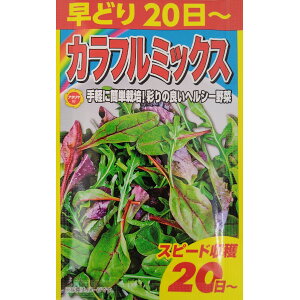 ylR|X 10܂Łzxr[[t@Jt~bNXyA^z