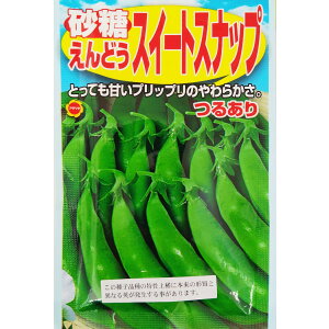 ylR|X 6܂ŁzGhE@邠荻ǂ@XC[gXibv@yA^z