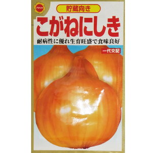 ylR|X 8܂Łzy^}lMz˂ɂyA^z܎