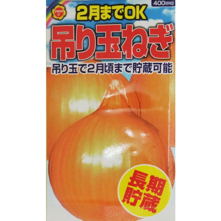 楽天市場】【ネコポス可 8個まで】【タマネギ】吊り玉ねぎ【アタリヤ 
