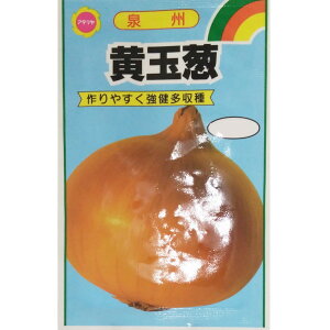 ylR|X 8܂Łzy^}lMzʔKyA^z܎