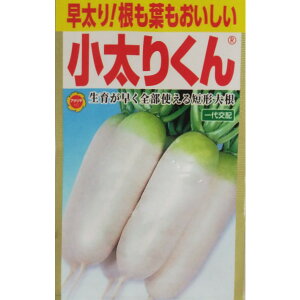 ylR|X 10܂Łzy_CRz肭yA^z܎