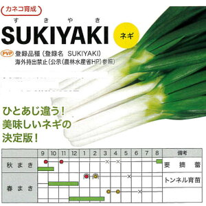 y˂zSUKIYAKIi20mlEybg5痱E2dljyJlRcz؂̎ lM̎