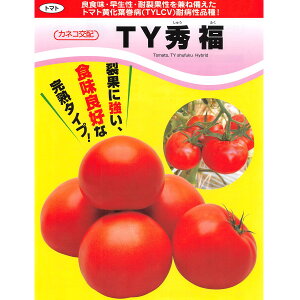 yʃg}gzTYG i100lE1000lEybg1000jyJlRcz؂̎@g}g̎