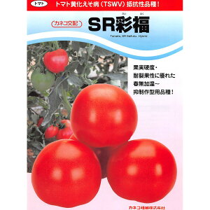 yʃg}gzSRʕ i100lE1000ljyJlRcz q g}g̎