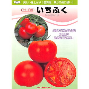 yʃg}gzӂi1000lEybg1000jyJlRcz q g}g̎