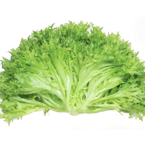 y}`[tz}`[t2iybg5痱ljPVPiyJlRcz q ^X̎