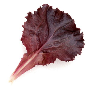 y[t^XzubN[Yiybg1,000lEybg5痱ljyJlRcz q ^X̎