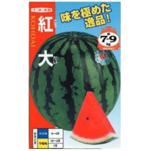 yʃXCJzgi 7E200jyigcz q XCJ̎